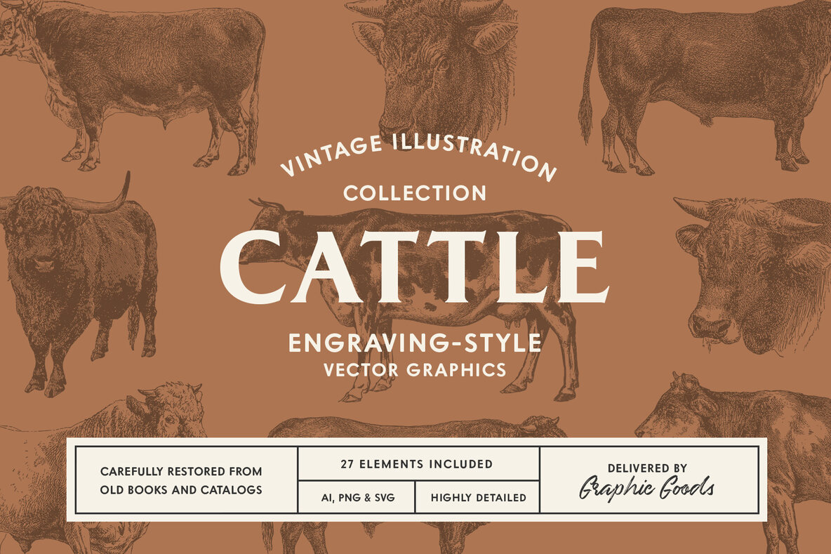 Download Cattle Vintage Illustration Set Graphics