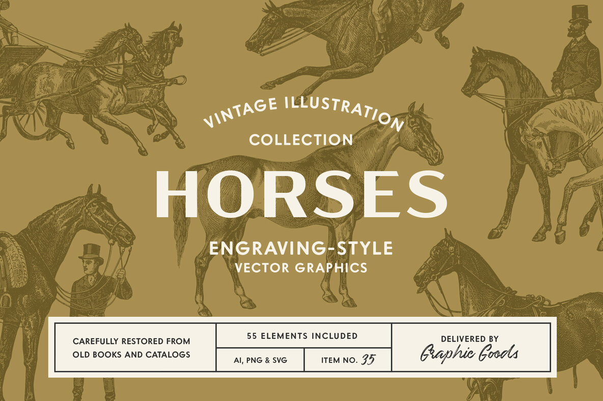 Download Horses Vintage Illustration Set Graphics