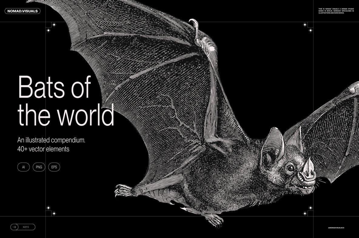 Download Bats of the World Graphics