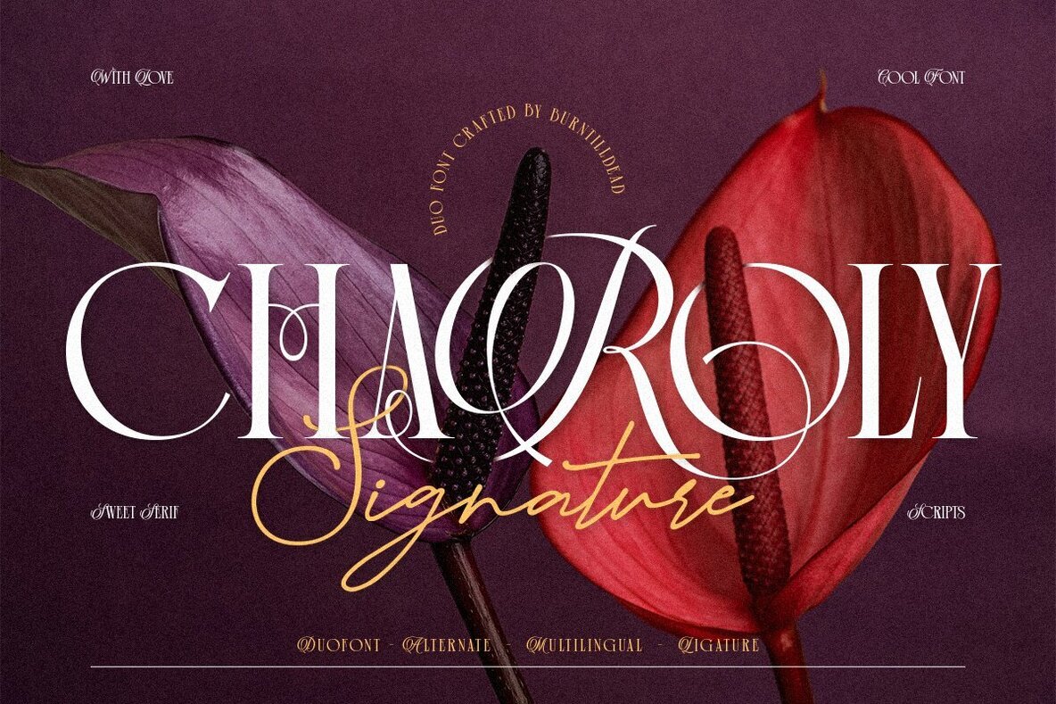 Charoly Signature Font