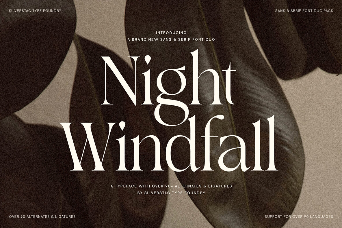 SLTF Night Windfall Font Duo Font - Image 1