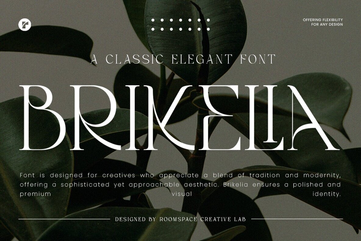 Brikelia Font - Image 1